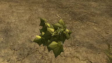 Mod - 2K