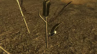 Mod - 2K