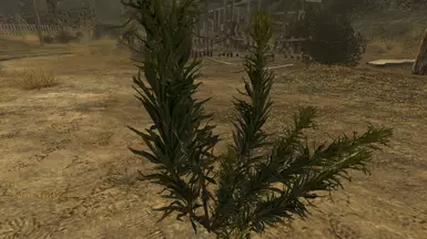 Mod - 1K