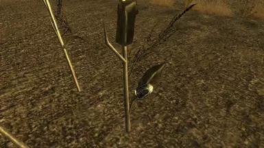 Mod - 1K