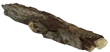 a log