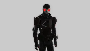 Recon Armor Dark (Christine) 2