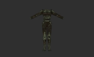 Army Recon Armor - Female