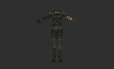 Defender Armor - Female
