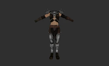 Metal Master Armor - Female