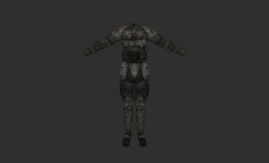 Shellshocked Combat Armor (Sleeved Combat Armor) - Female