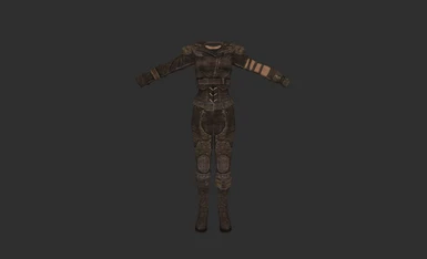 Wanderer's Leather Armor - Female