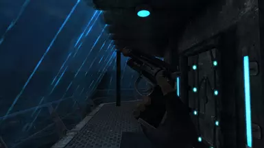 Blazing Star Left Side(First Person)