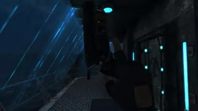 Blazing Star Right Side(First Person)