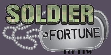Soldier Of Fortune TTW