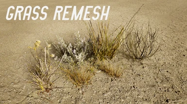Grass Remesh