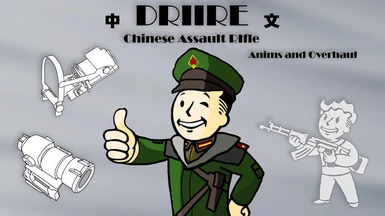 DRIIRE CHINESE ASSAULT RIFLE ANIMS AND OVERHAUL CN TRANSLATION
