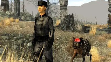 Enclave Cyberdog