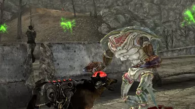 Enclave Cyberdog