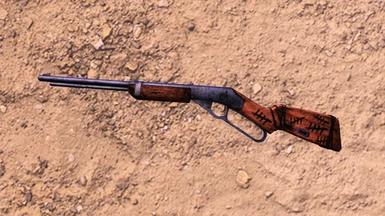 TTW Roachkiller - Unique BB Gun from Dad