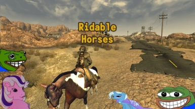 Ridable Horses