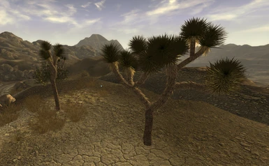 Micro Clutter - Improved Joshua Trees