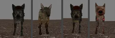 NEW DOGS 1.1