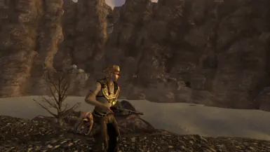 Wearing Novice Hunter Outfit, with background being 5 entries to 2 cavern