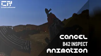 Cancel B42 Inspect Animation ESPless