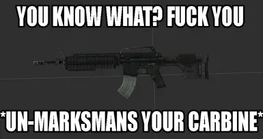 Unmarksman Carbine