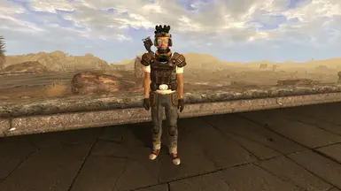 Relaxed Trooper Armor