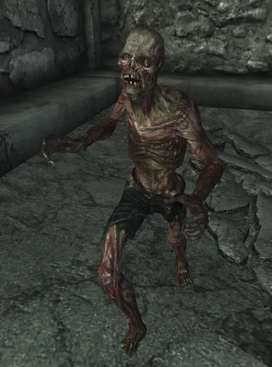 Feral Ghoul