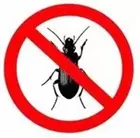 The Frontier - Arachnophobia - Entomophobia patch