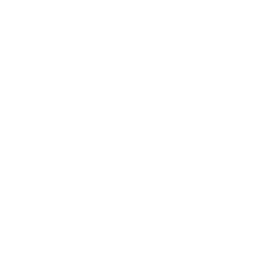 Bizon Steve