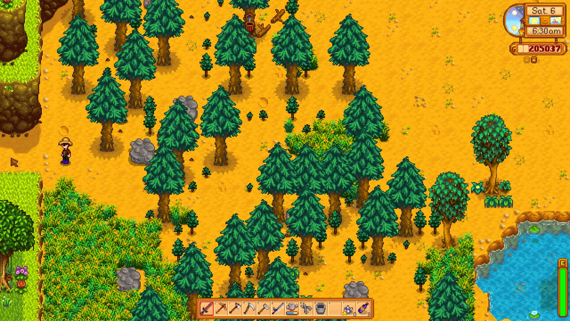 Stardew valley expanded карта