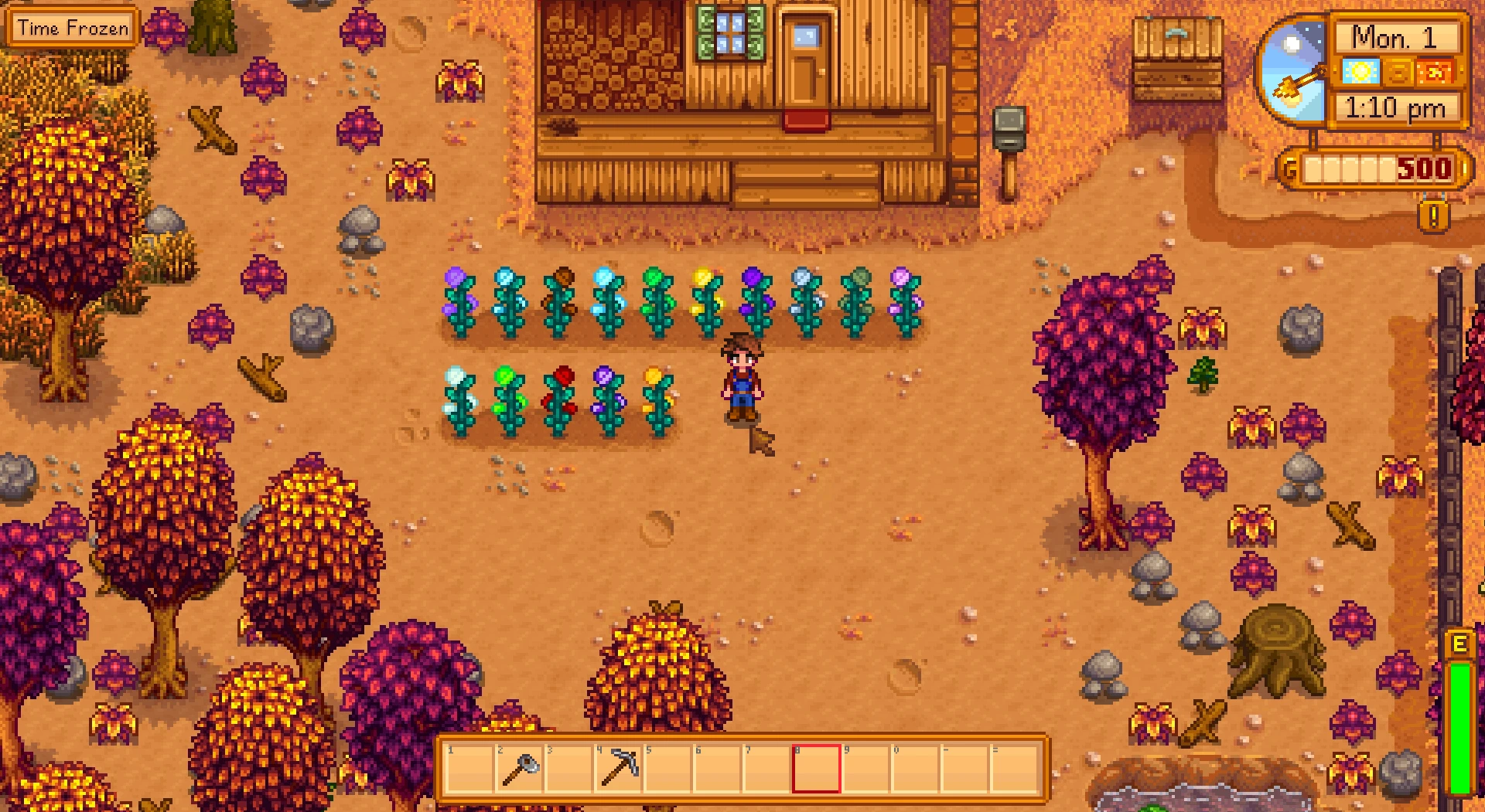 Угости песчаного дракона его последним обедом stardew