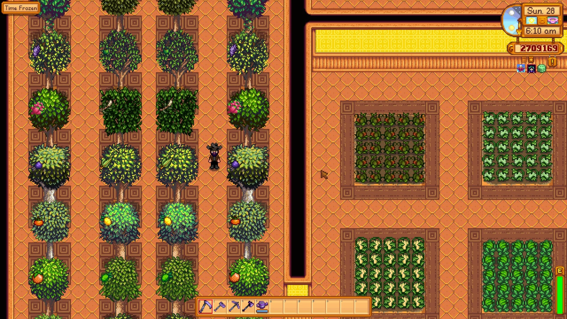stardew valley greenhouse