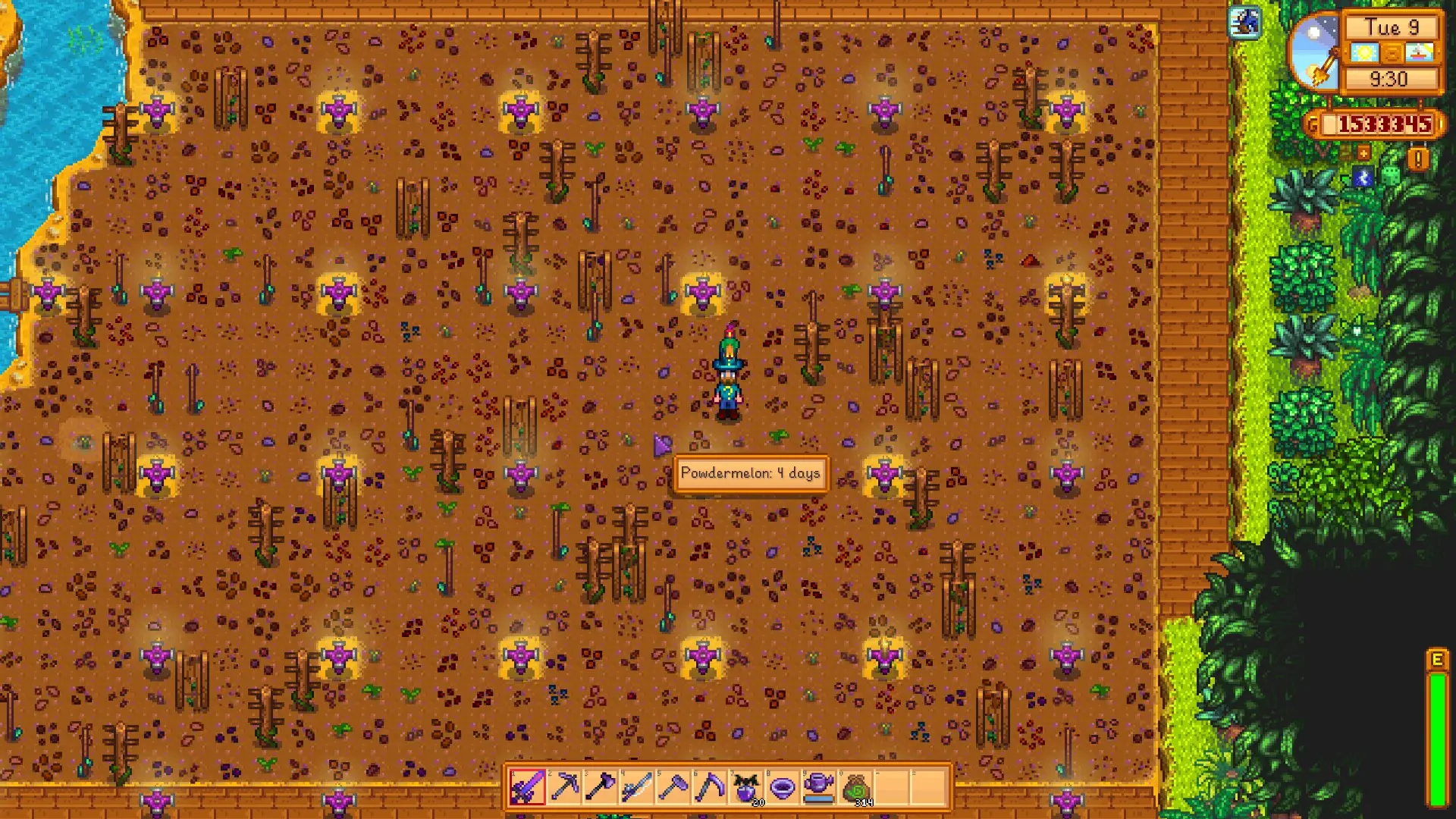 Raccoon's Mixed Seeds at Stardew Valley Nexus - Mods and community