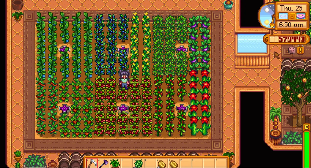 stardew valley greenhouse stardew valley greenhouse