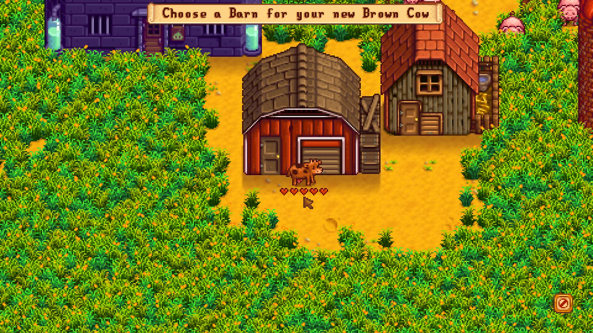 Stardew valley кленовый