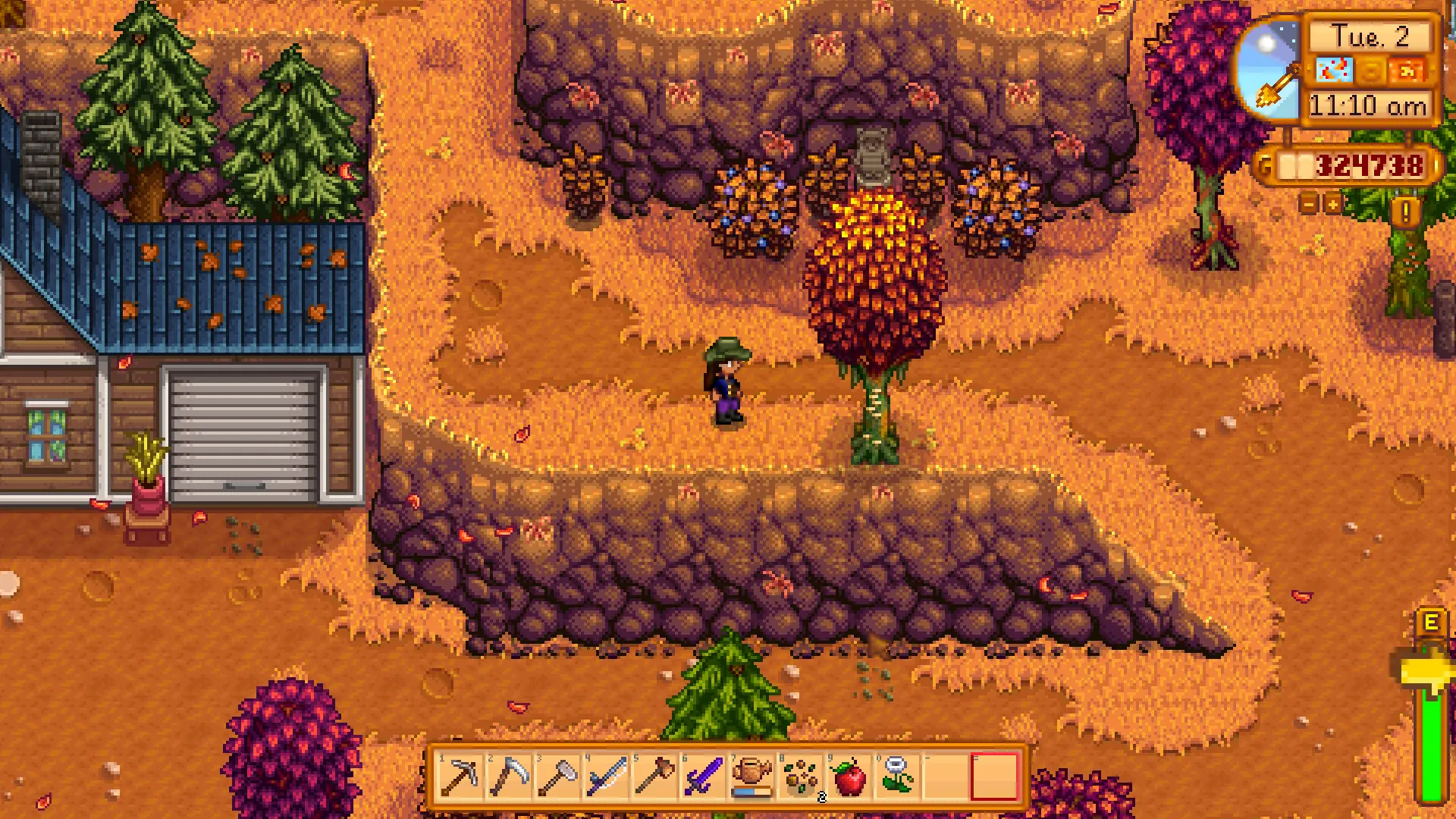 More Wild Berries for 1.6 at Stardew Valley Nexus - Mods and community