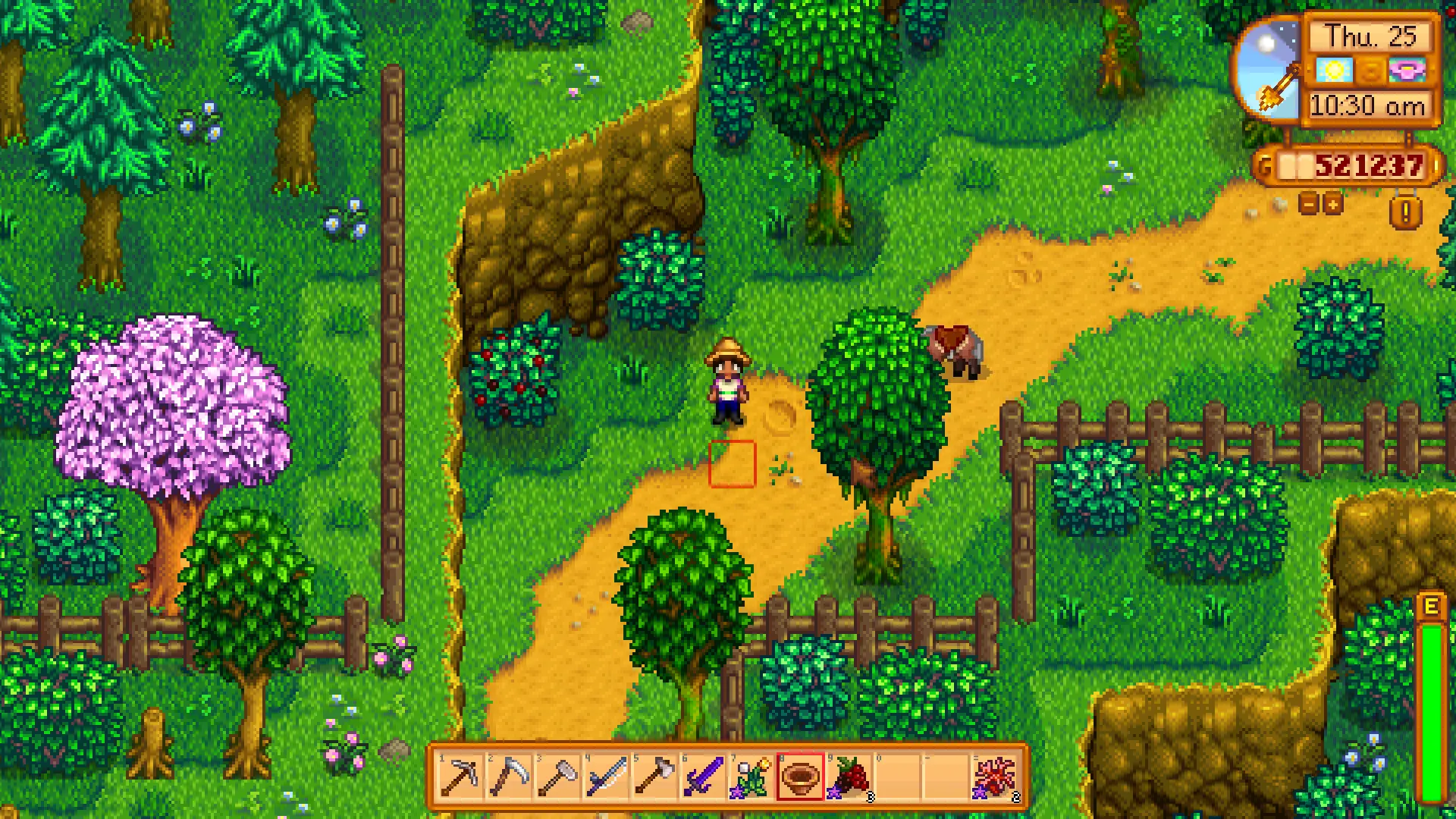 More Wild Berries for 1.6 at Stardew Valley Nexus - Mods and community