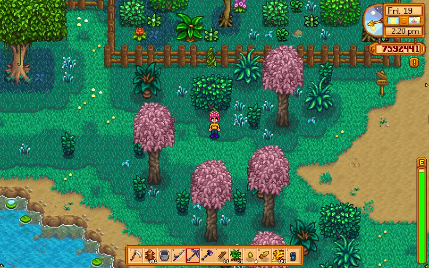 Лавовый угорь stardew. Грибное дерево Stardew Valley. Урожай ки Stardew Valley. Земляной Кристалл Stardew Valley. Stardew Valley Map.