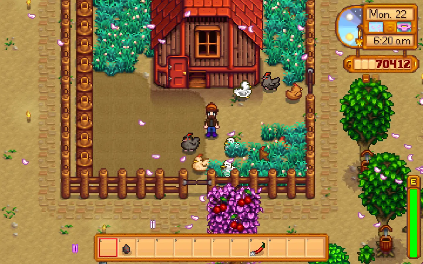 Stardew valley how to get duck feather