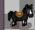 Black horse option