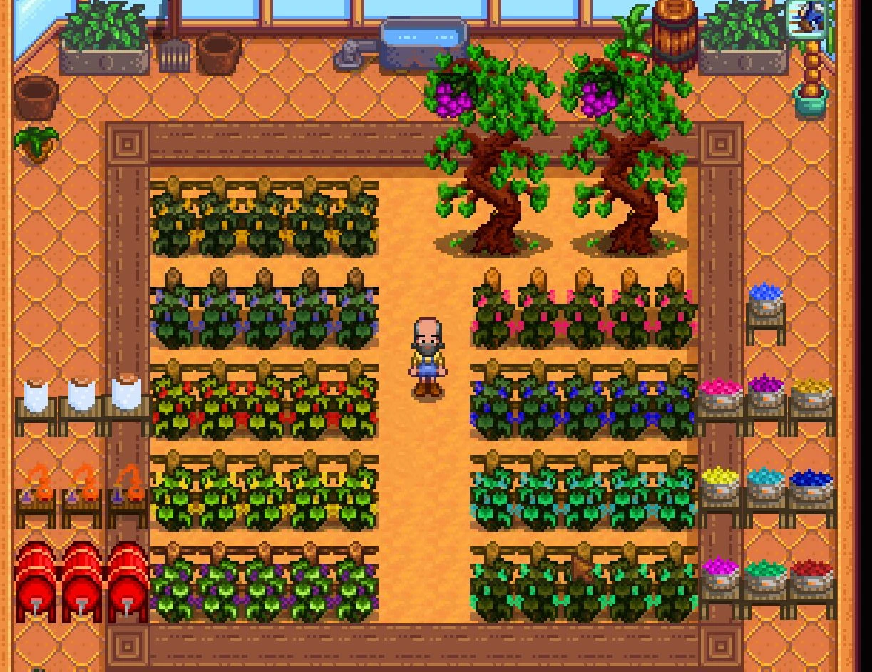 Grapes of Ferngill at Stardew Valley Nexus - Mods and community