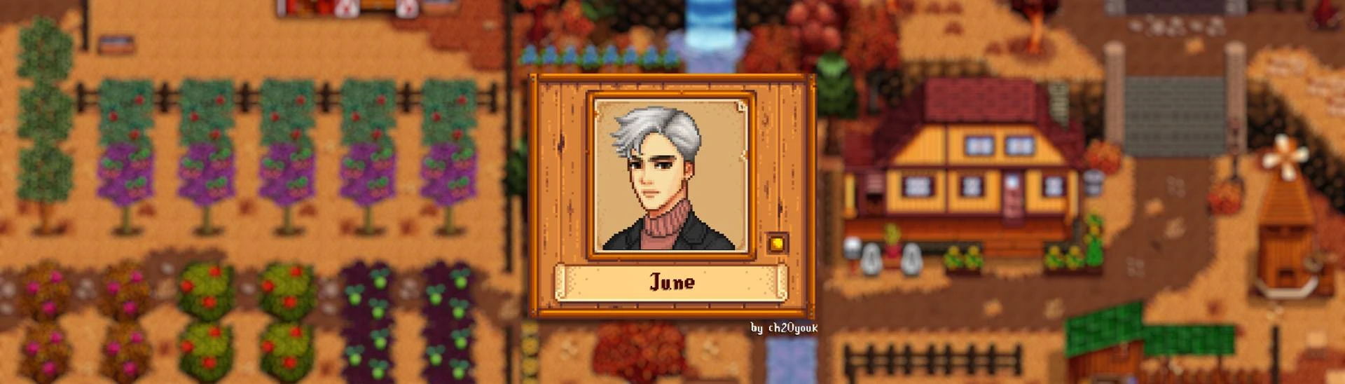 New NPCs Info - Gift Tastes and Heart Events at Stardew Valley Nexus - Mods  and community