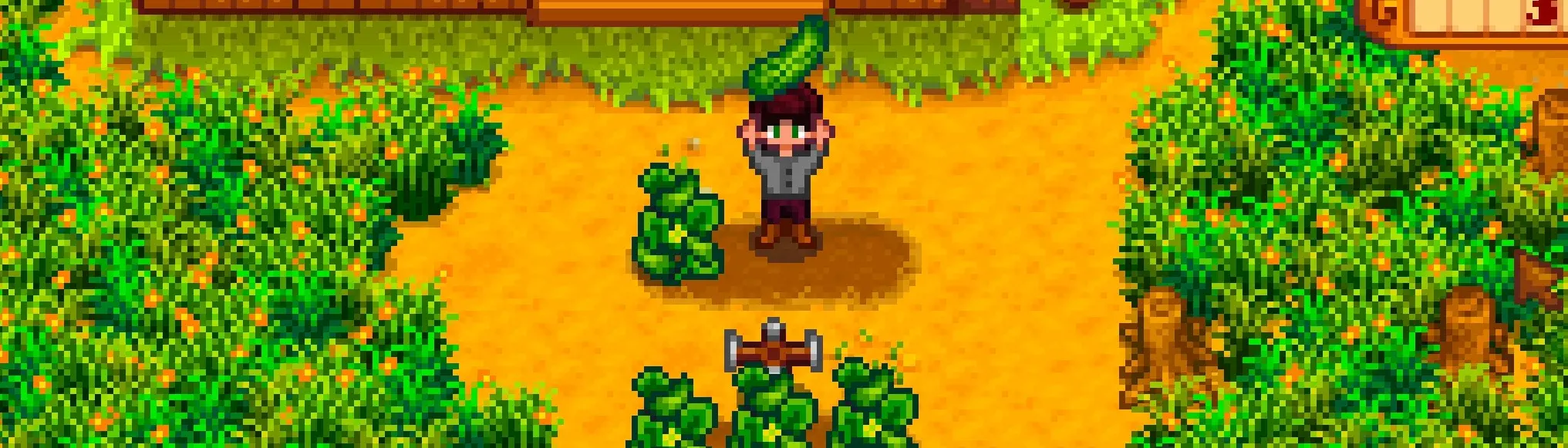 Infinite Money at Stardew Valley Nexus - Mods and community