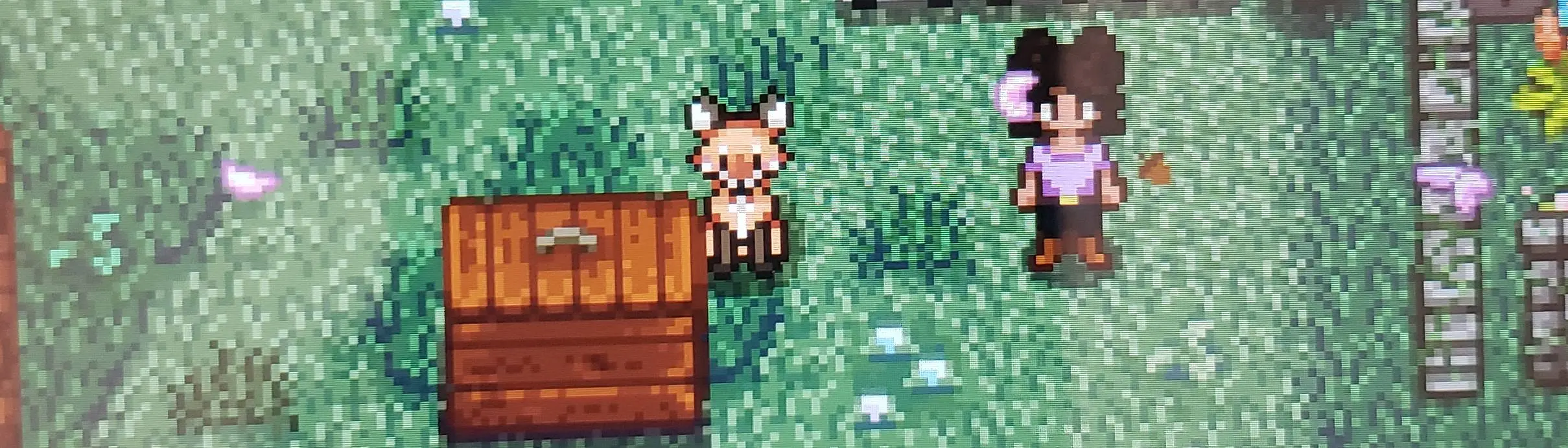 rachel 🐸 on X: making a thread of my fave stardew valley mods because  people on instagram were asking! i get all of these from nexus mods, you  can find them just