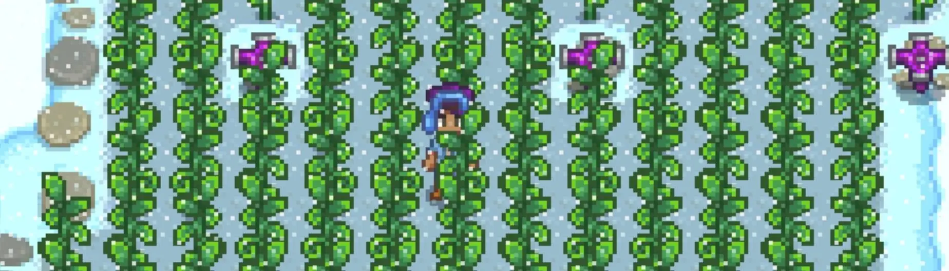 Ancient Crops - Traduzido para Portugues v2.2.0 at Stardew Valley Nexus -  Mods and community