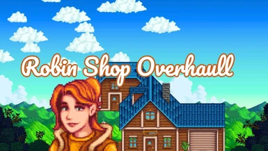 Robin Shop Overhaul