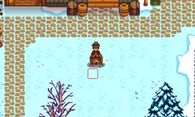 bear3
