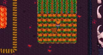 Fall Crops