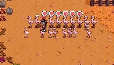 Flamingo Breeding