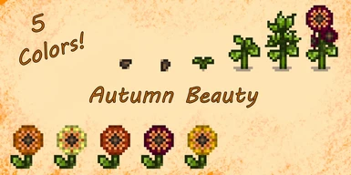 Growth phases and color variation for Autumn Beauty sunflowers